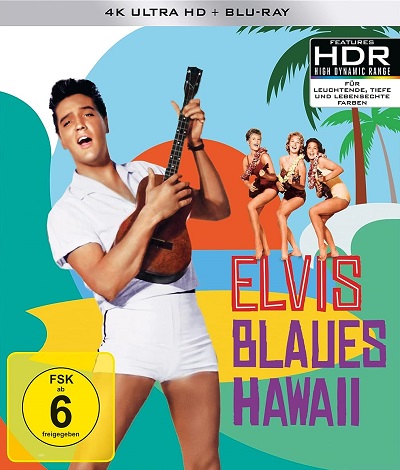 Blaues Hawaii Cover