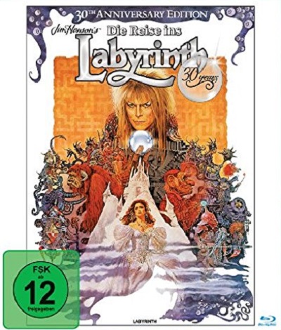 Die Reise ins Labyrinth Cover