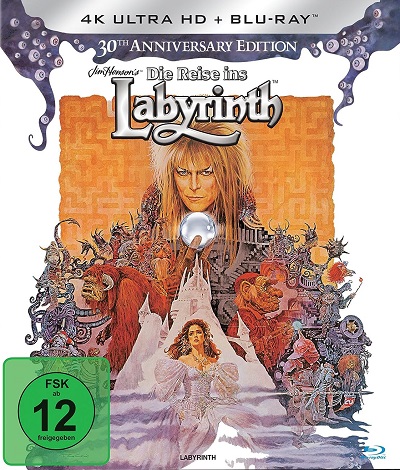 Die Reise ins Labyrinth Cover