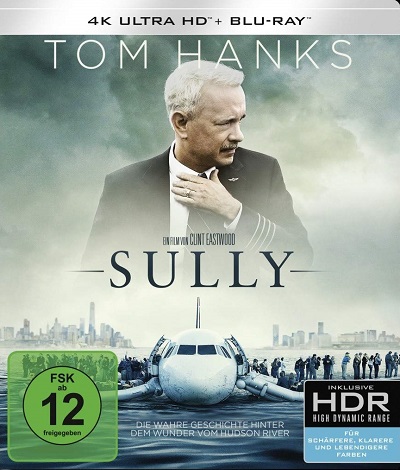 Sully Cover