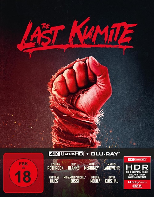 The Last Kumite Cover